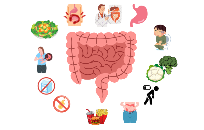 intestin-irritable sii colopathie constipation alicia carnet parole souffrant apssii